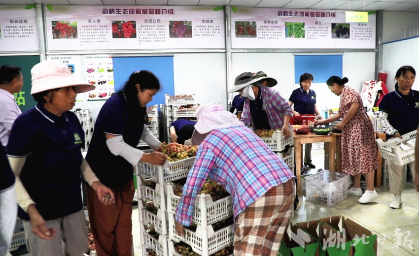 da大宝游戏下载大全